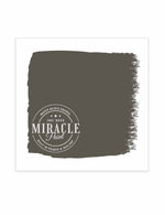 Miracle Paint (32 oz.)