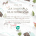 4-Piece Turkish Cotton Christmas Flannel Sheet - Whittaker Collection