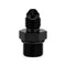 AN3 Male to M12 x 1.00 Male Straight Adapter HEL Aluminium