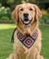 3-in-1 Crochet Granny Square Bandana – Handmade Headband, Pet Collar &Mom Neck Scarf | Colorful Boho Accessory | Retro Crochet Gift