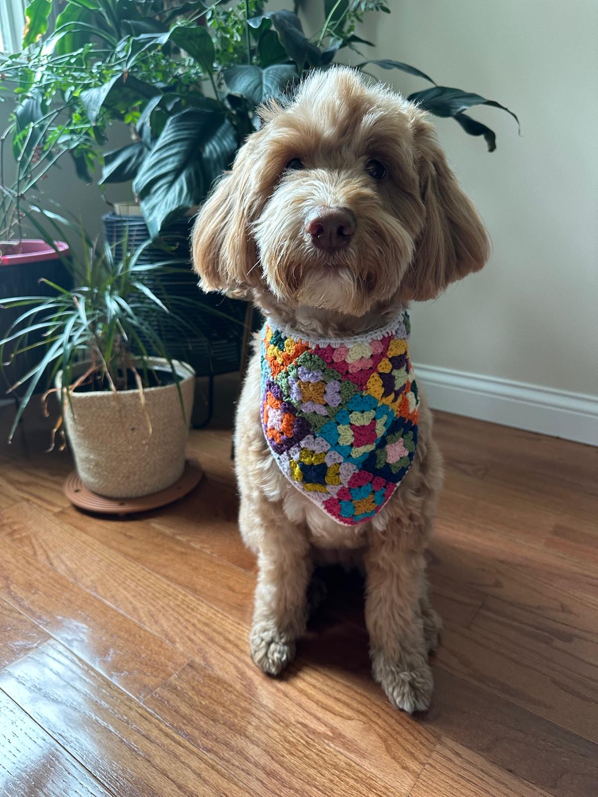 3-in-1 Crochet Granny Square Bandana – Handmade Headband, Pet Collar &Mom Neck Scarf | Colorful Boho Accessory | Retro Crochet Gift