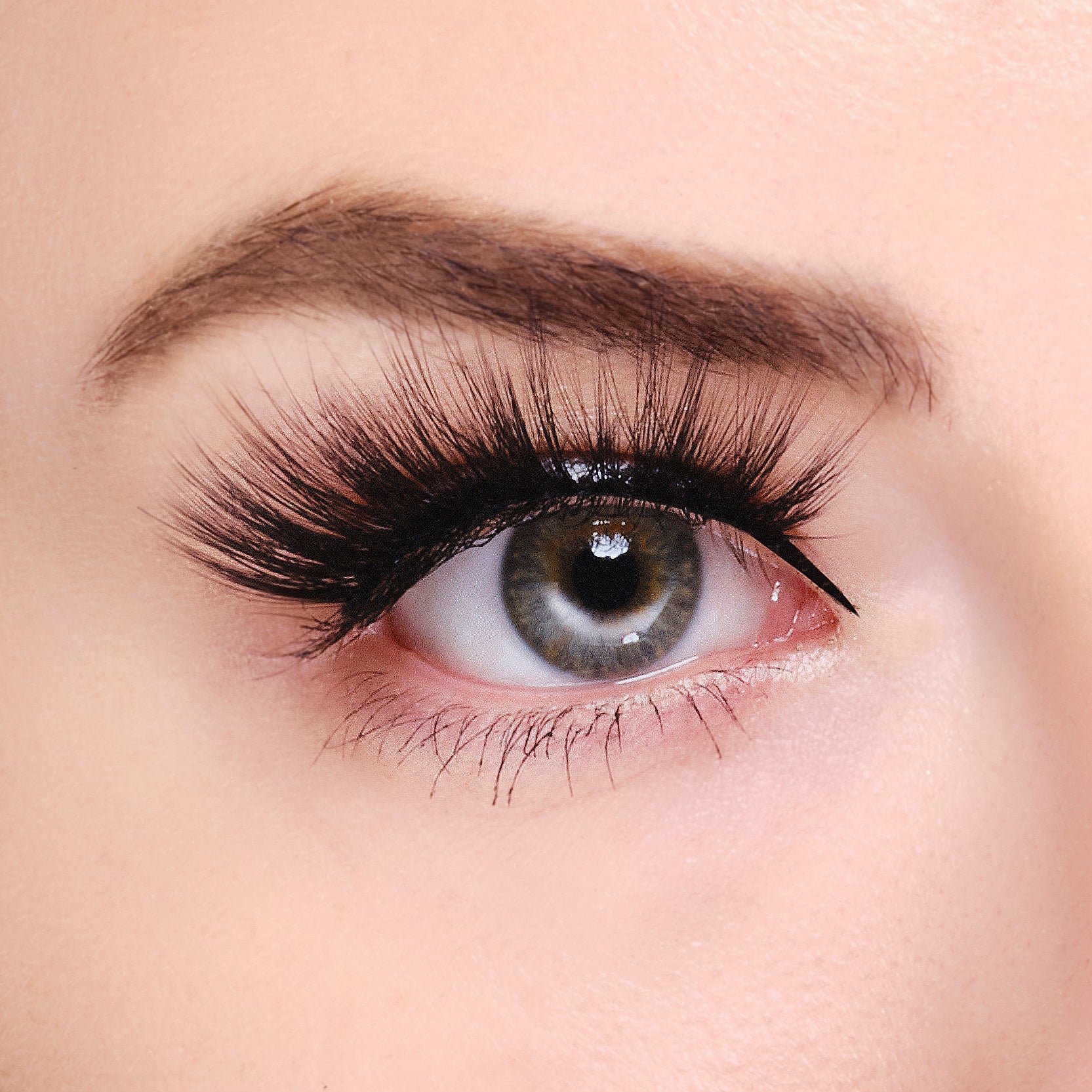 Synthetic Eyelashes - Jenna