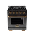 Kucht Gemstone Professional 30 in. 4.2 cu. ft. Natural Gas Range with Sealed Burners and Convection Oven in Titanium Stainless Steel KEG303