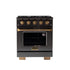 Kucht Gemstone Professional 30 in. 4.2 cu. ft. Natural Gas Range with Sealed Burners and Convection Oven in Titanium Stainless Steel KEG303