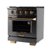 Kucht Gemstone Professional 30 in. 4.2 cu. ft. Natural Gas Range with Sealed Burners and Convection Oven in Titanium Stainless Steel KEG303