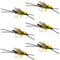 Long Tail Skwala Stone Fly Dry Trout Flies - Adult Squalla Stonefly Dry Fly - 6 Flies Hook Size 10