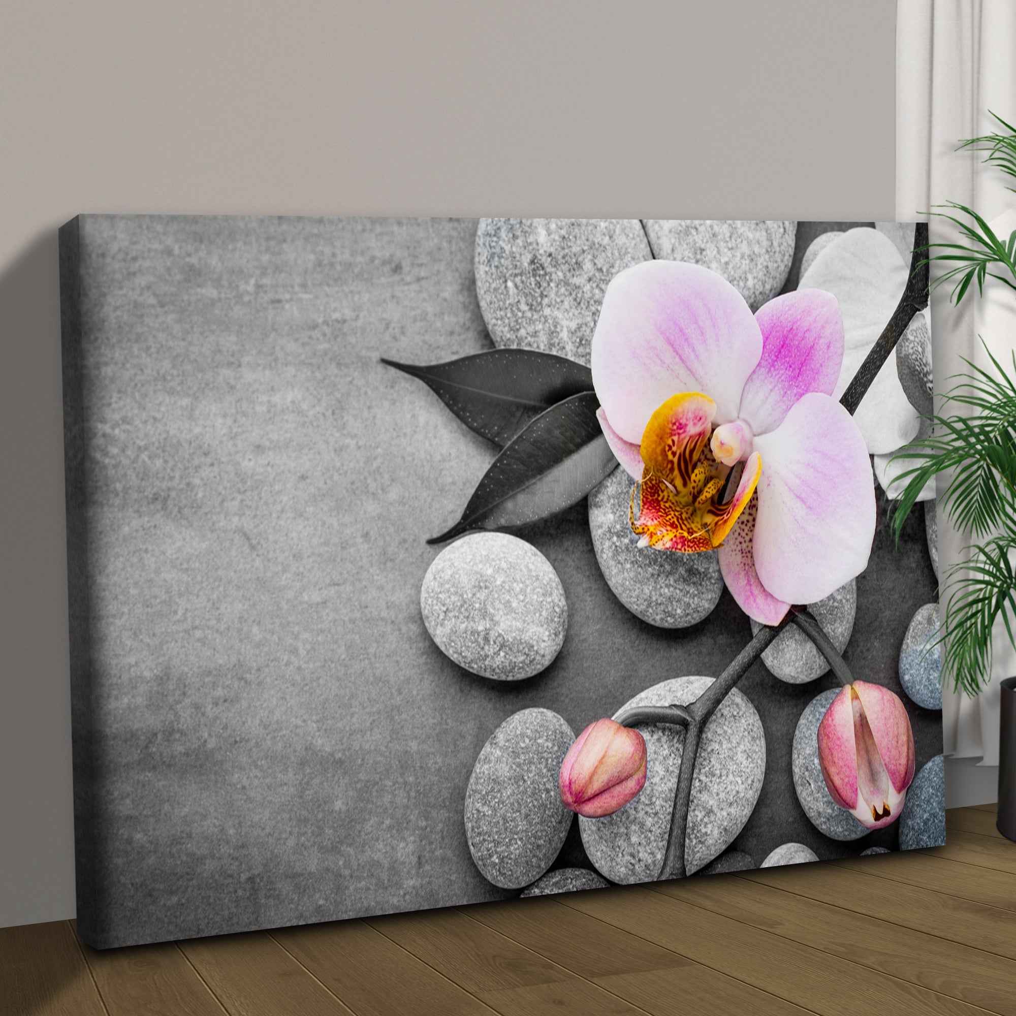 Fresh White Orchid Flower Canvas Wall Art