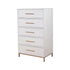 Madelyn Five Drawer Chest, White