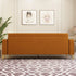 Modern Loveseat Sofa with Pillows