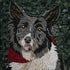 Custom Mosaic Dog Portrait