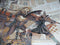 Andrey Grintsevich Mosaic Art Reproduction