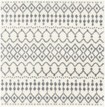 Navassa White/Gray Trellis Plush Rug