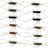 Tungsten Bead Jigged Pat's Rubber Legs Nymph Assortment Euro Fly Fishing Flies - Trout and Bass Wet Fly Pattern - 12 Flies Hook Size 10