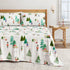 4-Piece Turkish Cotton Flannel Sheet - Whittaker Collection
