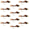 Barbless Bead Head Pheasant Tail Nymph Fly 1 Dozen Flies Hook Size 16