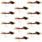 Barbless Bead Head Pheasant Tail Nymph Fly 1 Dozen Flies Hook Size 10