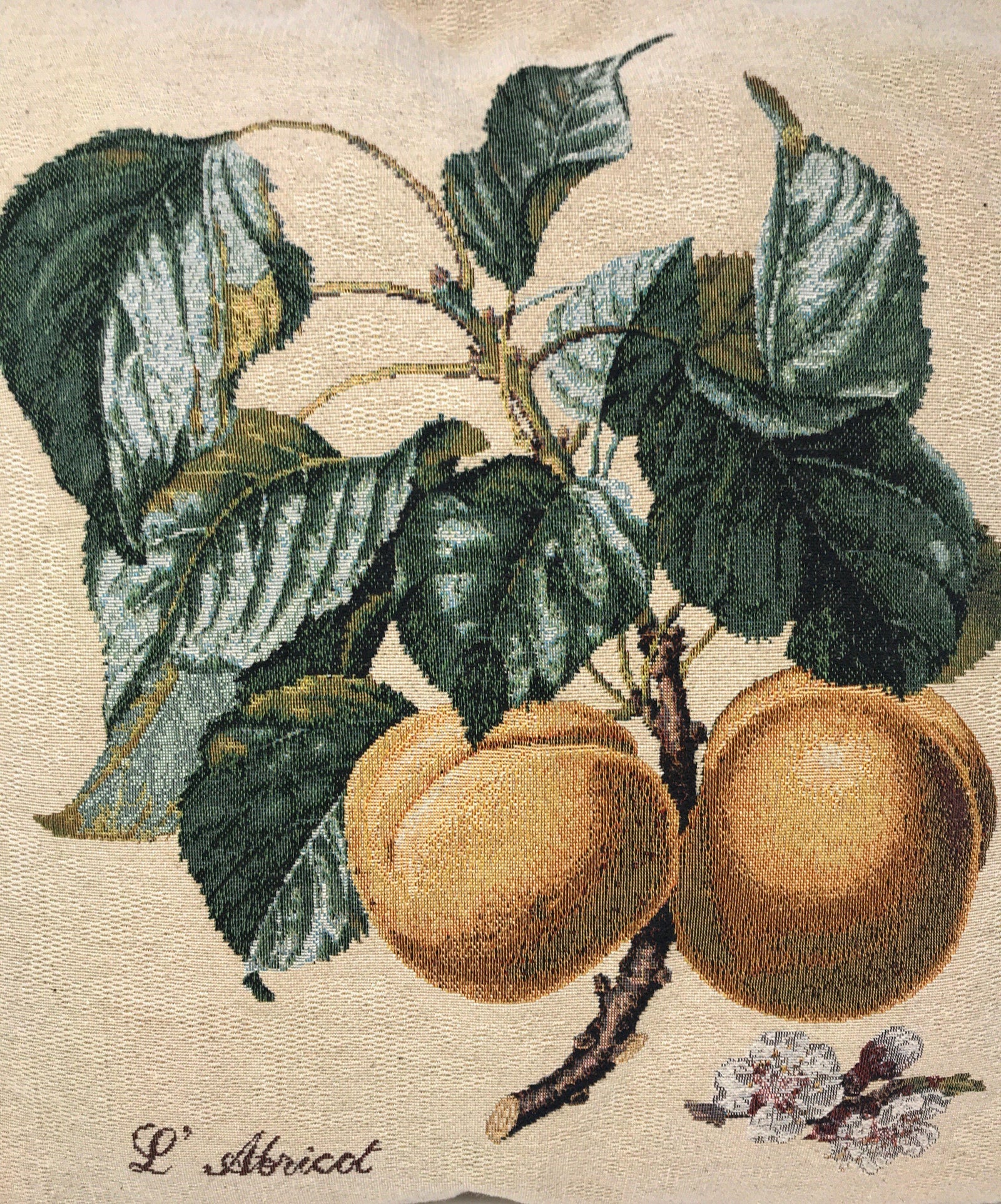 DaDa Bedding Set of 2-Pieces Yellow Apricot Fruits Elegant Tapestry Throw Pillow Covers w/ Inserts - 18