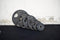 Pro Rubber Olympic Plates - Per Pair - Muscle D Fitness - High-Quality Virgin Rubber Olympic Plates