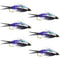 Double Bead Purple Psycho Prince Nymph Fly Fishing Flies - 6 Flies Hook Size 8