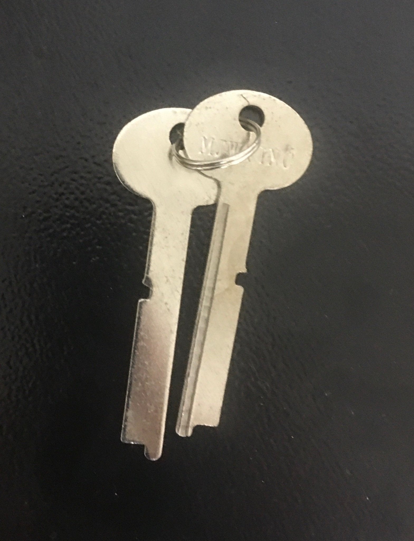 Southeastern Replacement Keys for Dual Key Lock Safes – Tundra Globe
