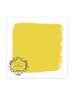 One Step Paint - 16oz