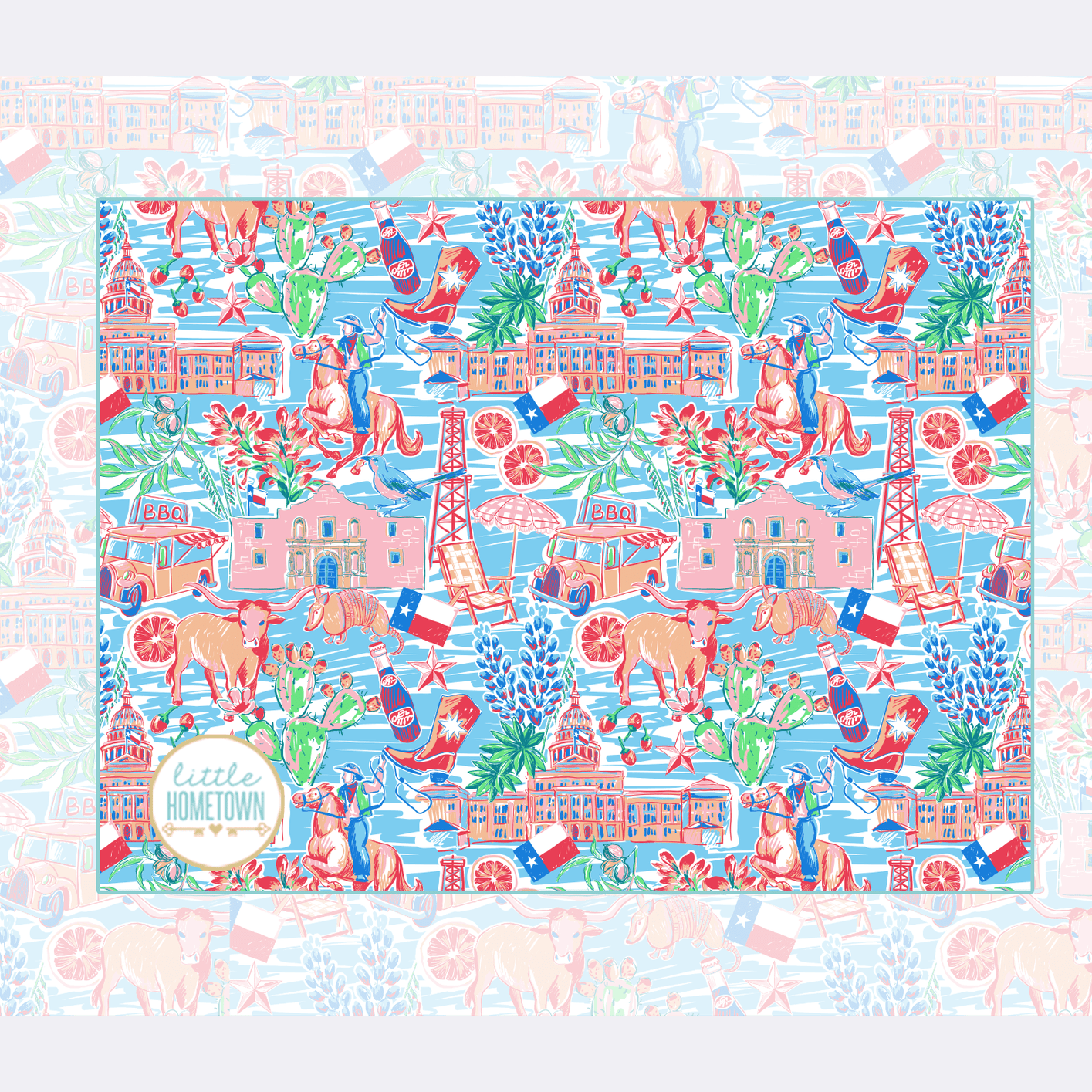 Texas Plush Throw Blanket 60x80