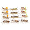 Trout Fly Assortment - Foam Body High Visibility Grasshopper Dry Fly Collection