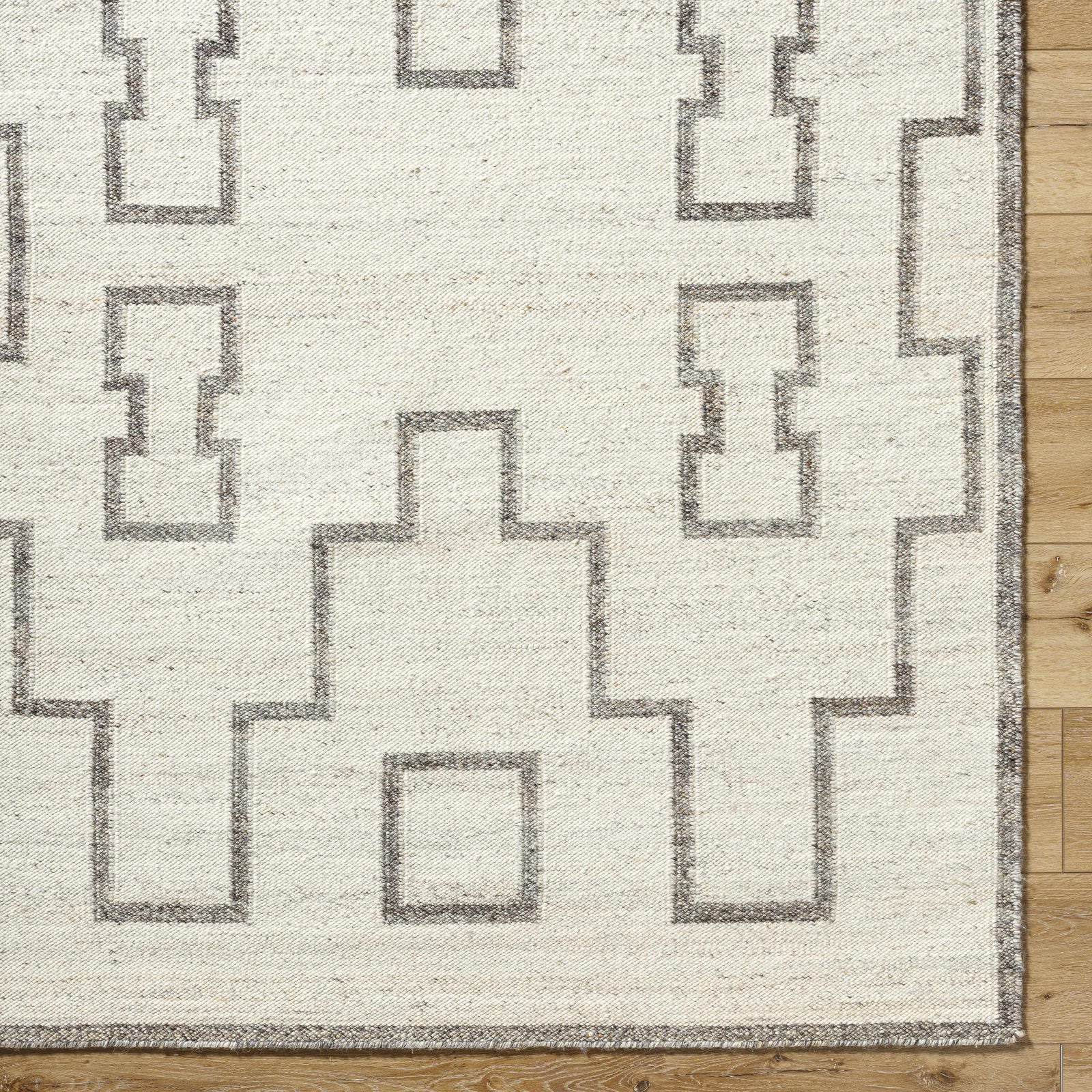 Vanig Area Rug