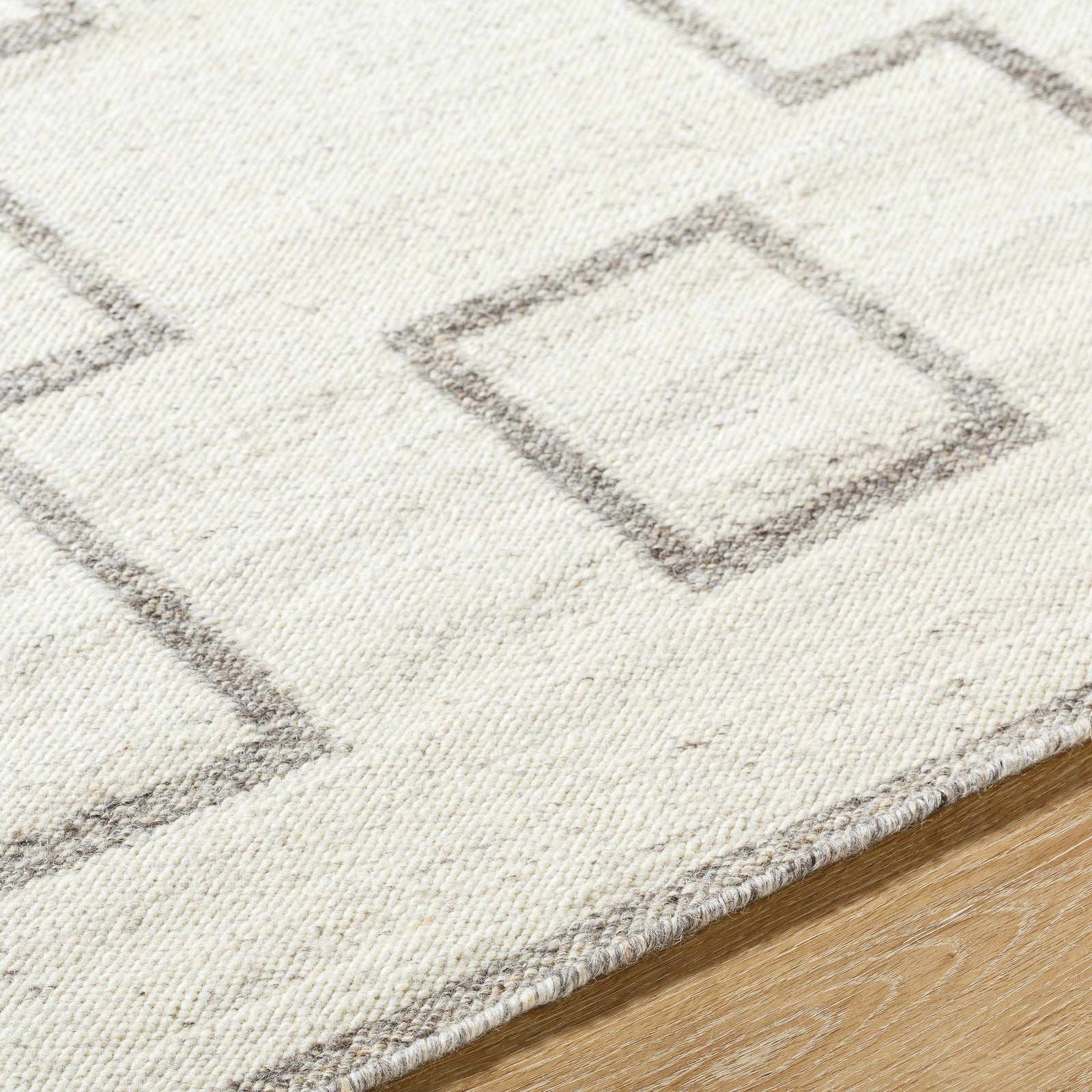 Vanig Area Rug