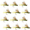 Olive X Caddis Emerging Caddis Adult Trout Dry Fly - 1 Dozen Flies Hook Size 16