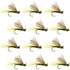 Olive X Caddis Emerging Caddis Adult Trout Dry Fly - 1 Dozen Flies Hook Size 16