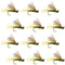 Olive X Caddis Emerging Caddis Adult Trout Dry Fly - 1 Dozen Flies Hook Size 14