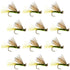 Olive X Caddis Emerging Caddis Adult Trout Dry Fly - 1 Dozen Flies Hook Size 14