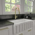 ZLINE Gemini Kitchen Faucet, GEM-KF-PG
