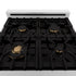 ZLINE 24" Autograph Dual Fuel Range, Stainless, Black accents, RAZ-24-MB