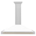 ZLINE 48" Autograph Stainless Wall Range Hood KB4SNZ-WM48-G