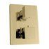 ZLINE Crystal Bay Thermostatic Shower System with Body Jets CBY-SHS-T3-PG