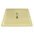 ZLINE 12" Bliss Shower Head in Polished Gold BLS-H12-PG