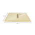 ZLINE 16" Bliss Shower Head BLS-H16-PG