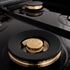 ZLINE 24" Gas On Gas Range, Stainless Steel, Brass Burners, RG-BR-24