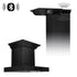 ZLINE 24" Range Hood, Black Stainless, Built-In Speakers, BSKENCRN-BT-24