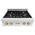 ZLINE 30" Autograph Rangetop, DuraSnow, Gold Accent, RTZ-30-G