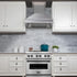 ZLINE 30" Designer Series Stainless Wall Mount Range Hood, 8656S-30