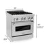 ZLINE 30" Dual Fuel Oven Range, Stainless Steel, Brass Burners, RA-BR-30