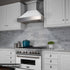 ZLINE 30" Dual Fuel Range, DuraSnow, Stainless, White Matte Door, RAS-WM-30