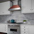 ZLINE 30" Snow Finish Wall Range Hood, Hammered Copper Shell, 8654HH-30