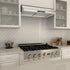 ZLINE 30" Under Cabinet Stainless Steel Range Hood 621-30