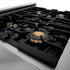 ZLINE 30"Autograph, Dual Fuel Range, Stainless, Gold Accents, RAZ-WM-30-G