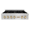 ZLINE 36" Autograph Edition Rangetop, DuraSnow, Gold Accent, RTSZ-36-G