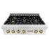 ZLINE 36" Autograph Edition Rangetop, DuraSnow, Gold Accent, RTSZ-36-G